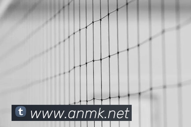 奖项图3